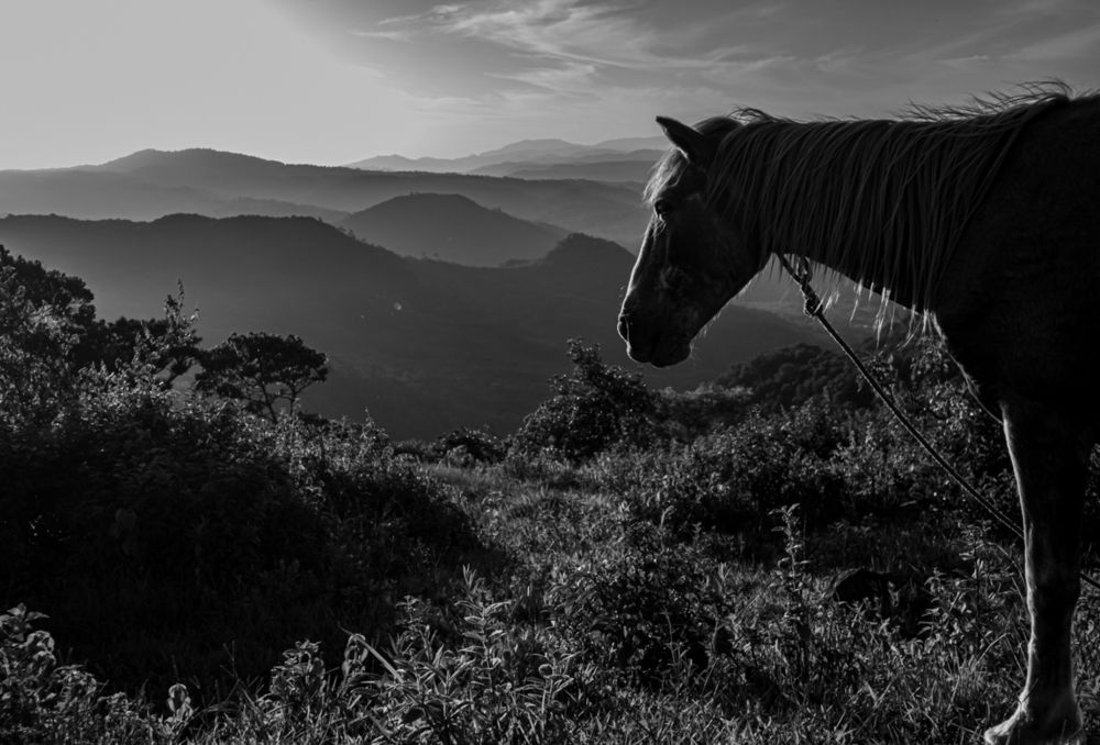 Photograph by Leonardo Ramos