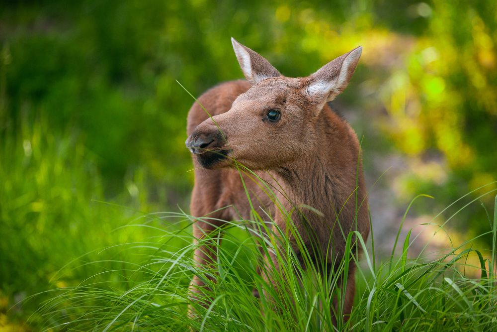 Photograph by Наталья Блохина