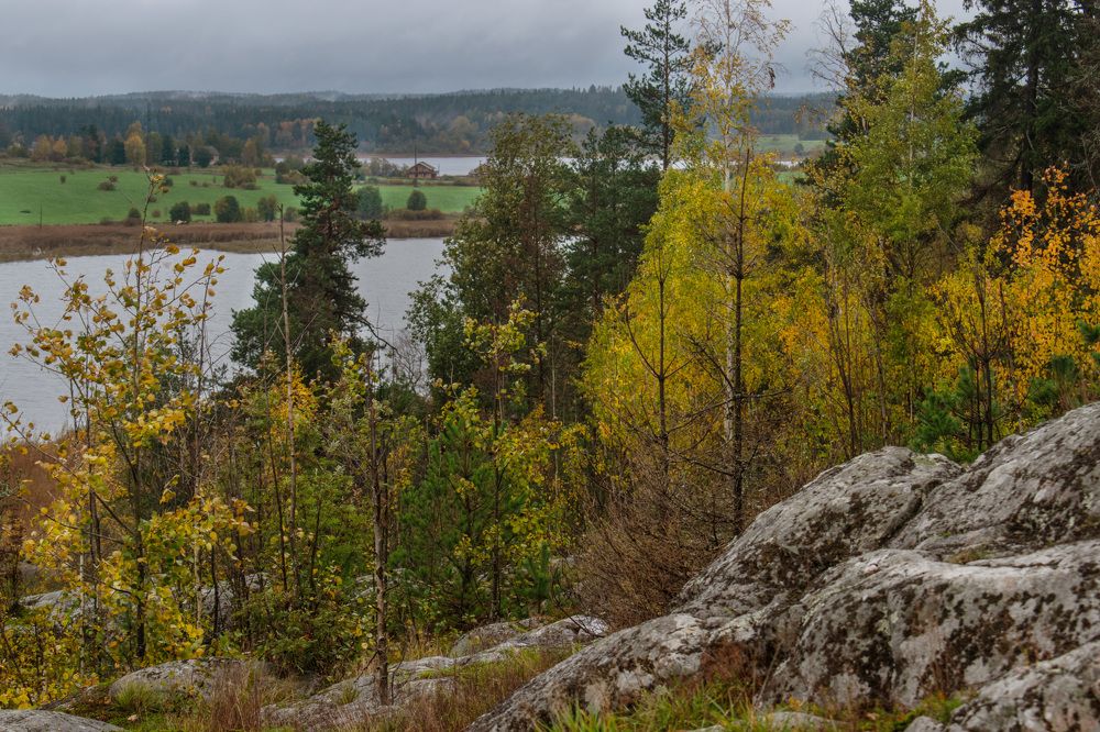 Photograph by Наталья Зверева