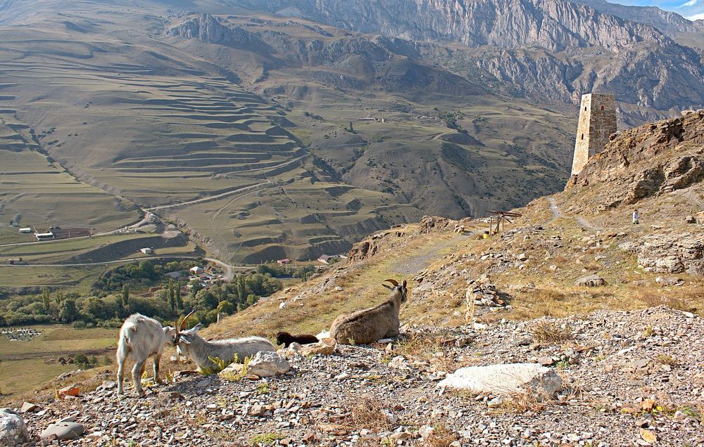 Photograph by Татьяна Черняева