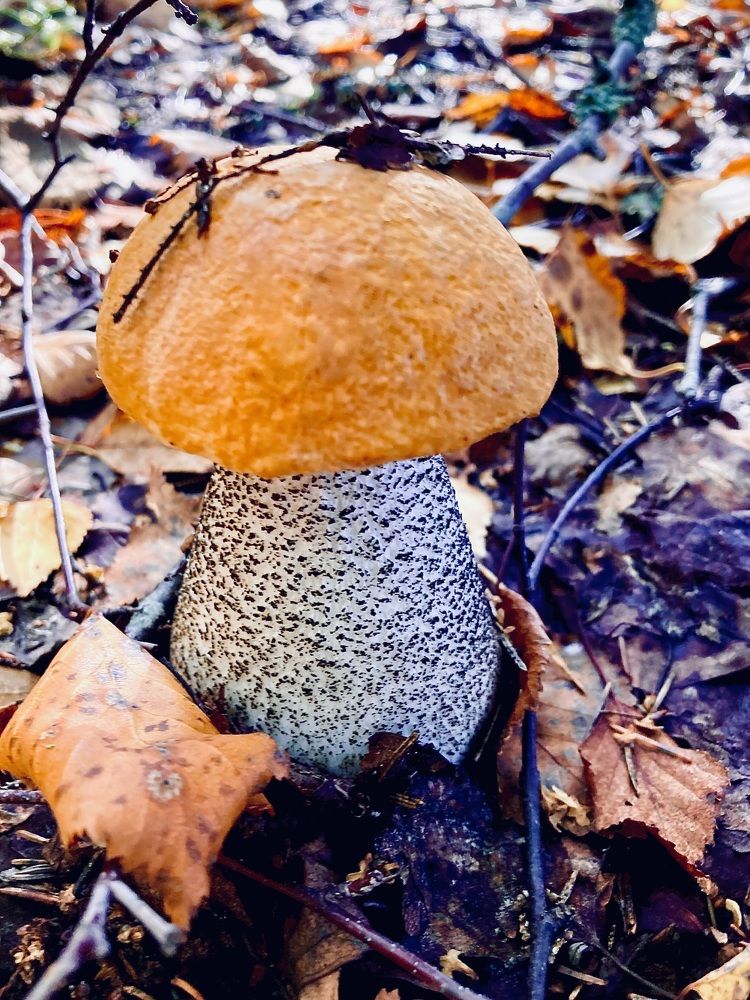 Photograph by Аркадий Каллистов