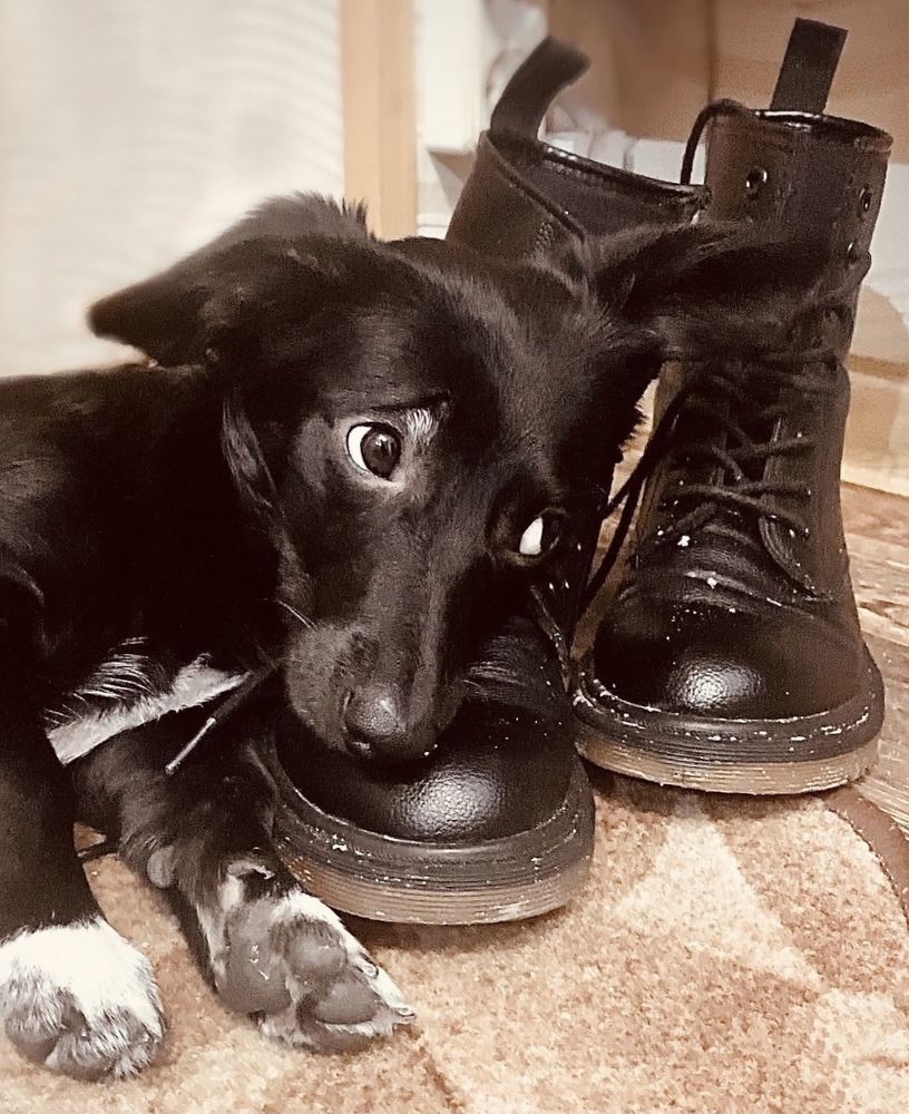 Photograph by Irina Beleva