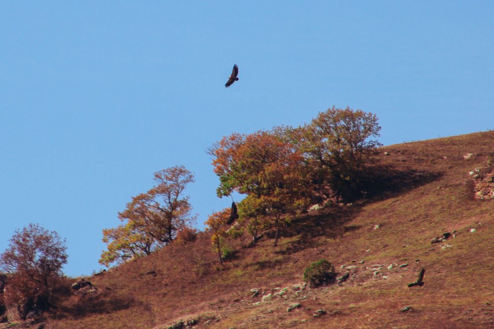 Photograph by Мария Даниленко