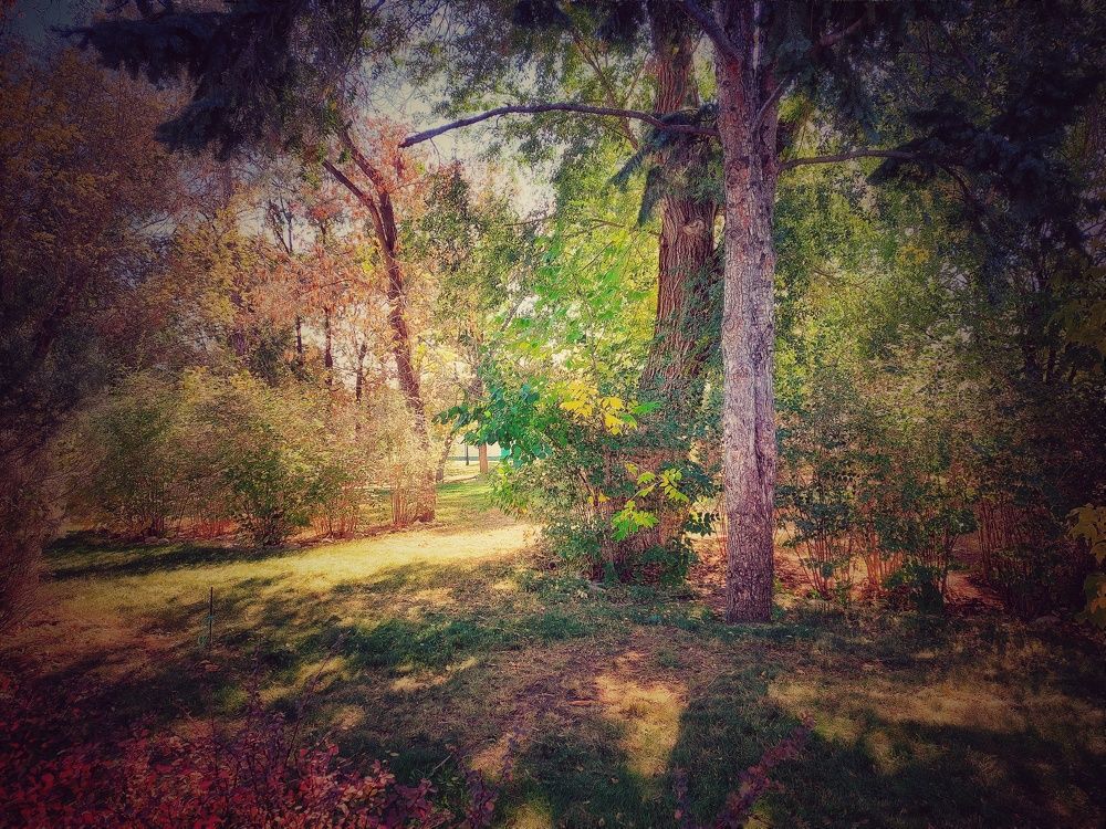 Photograph by Нина Паршина