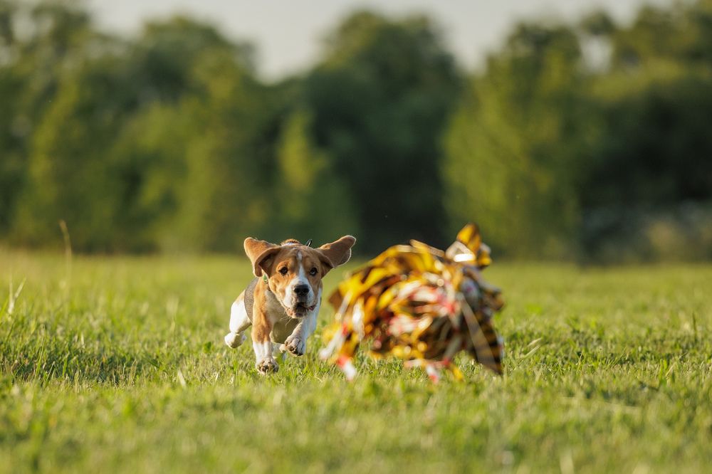 Photograph by Илья Юфа