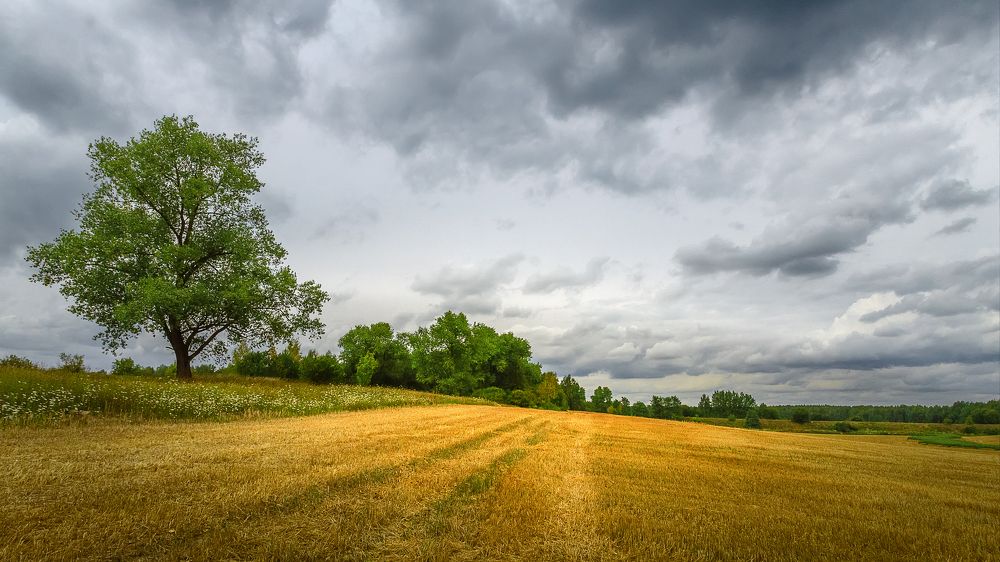 Где-то за городом
