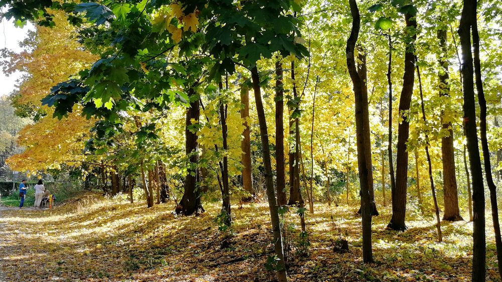 Photograph by Татьяна Куркова