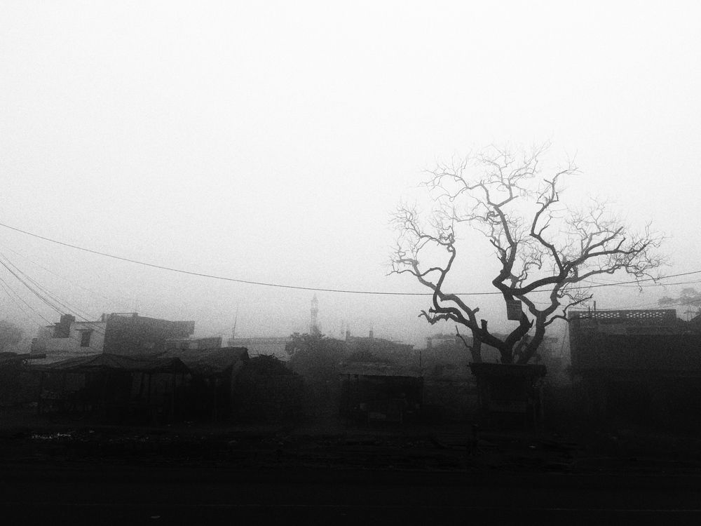 Photograph by shivank pandey