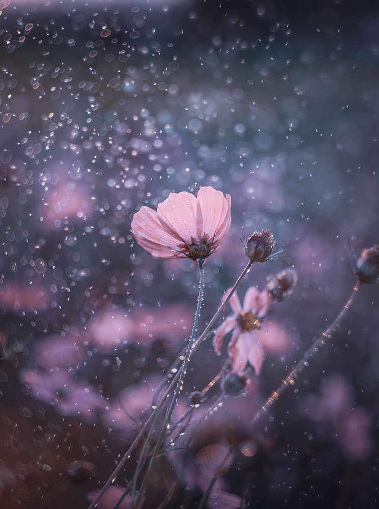 Photograph by Алена Полетаева