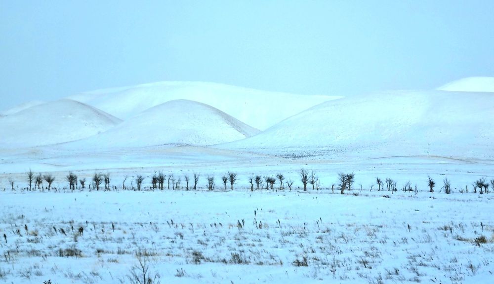 Photograph by Наталья Анисимова