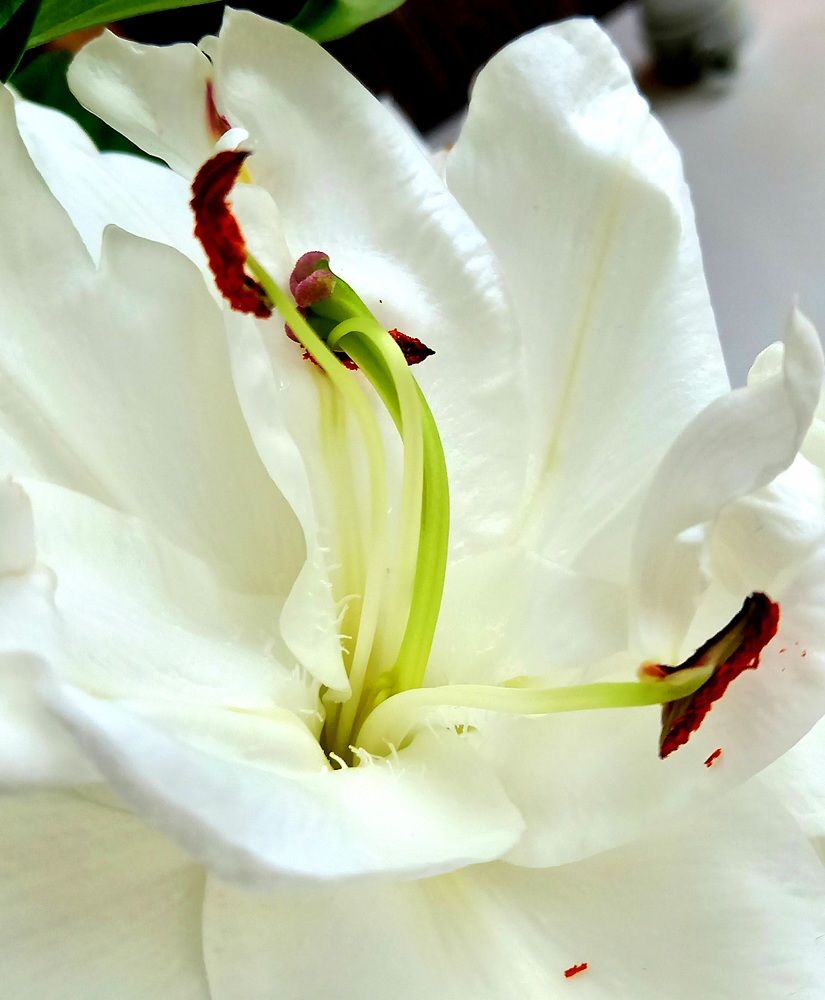 Photograph by Ольга Юрченко