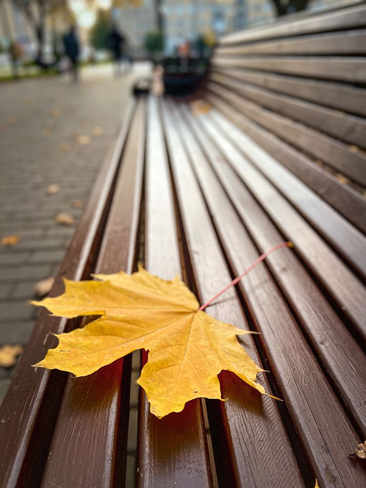 Photograph by Алена Полетаева