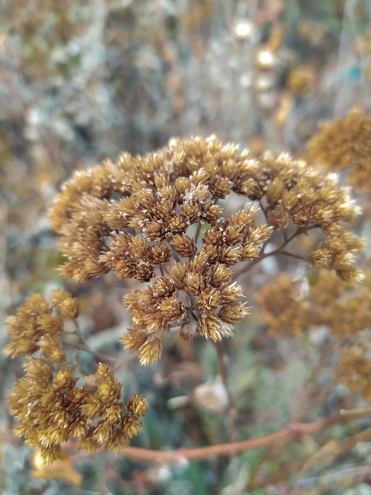 Photograph by Natalya