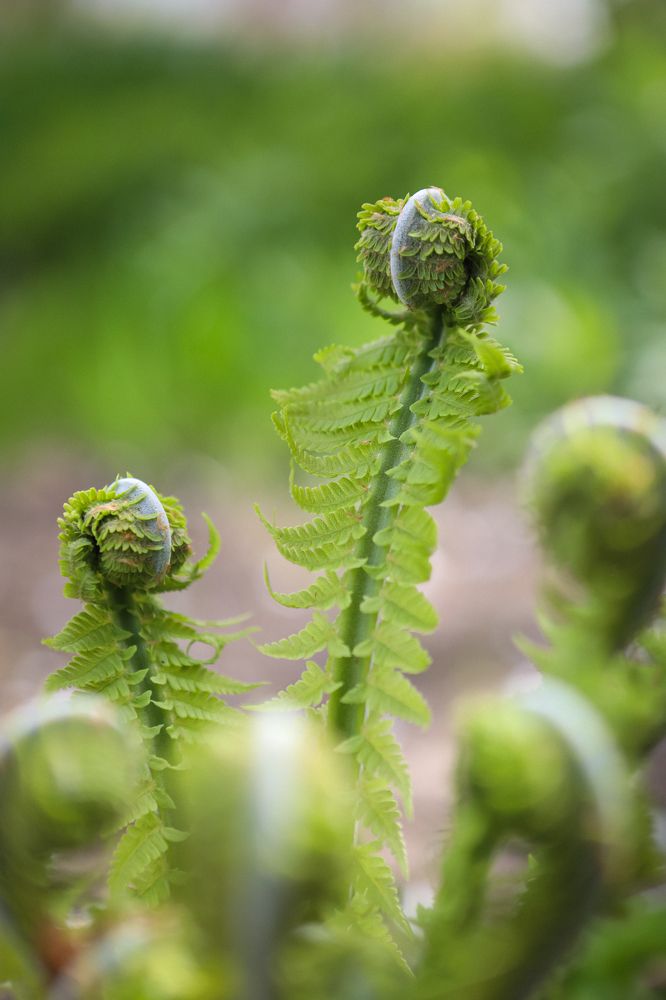Photograph by Светлана Солдатченкова