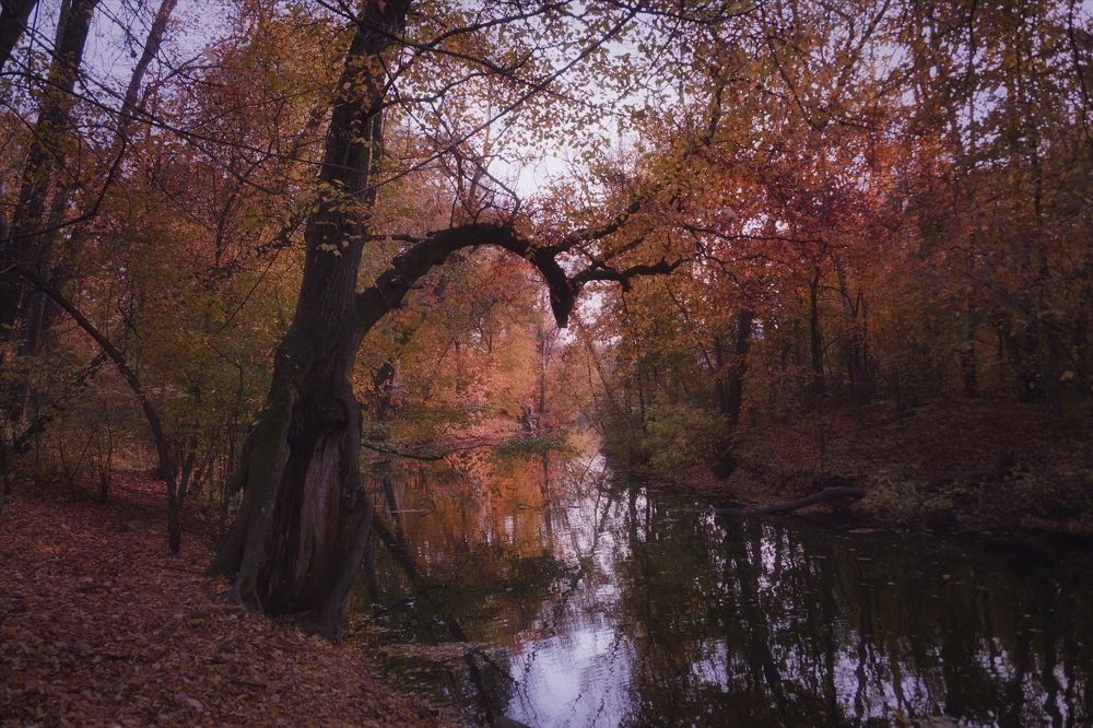 Photograph by Колоскова Мария