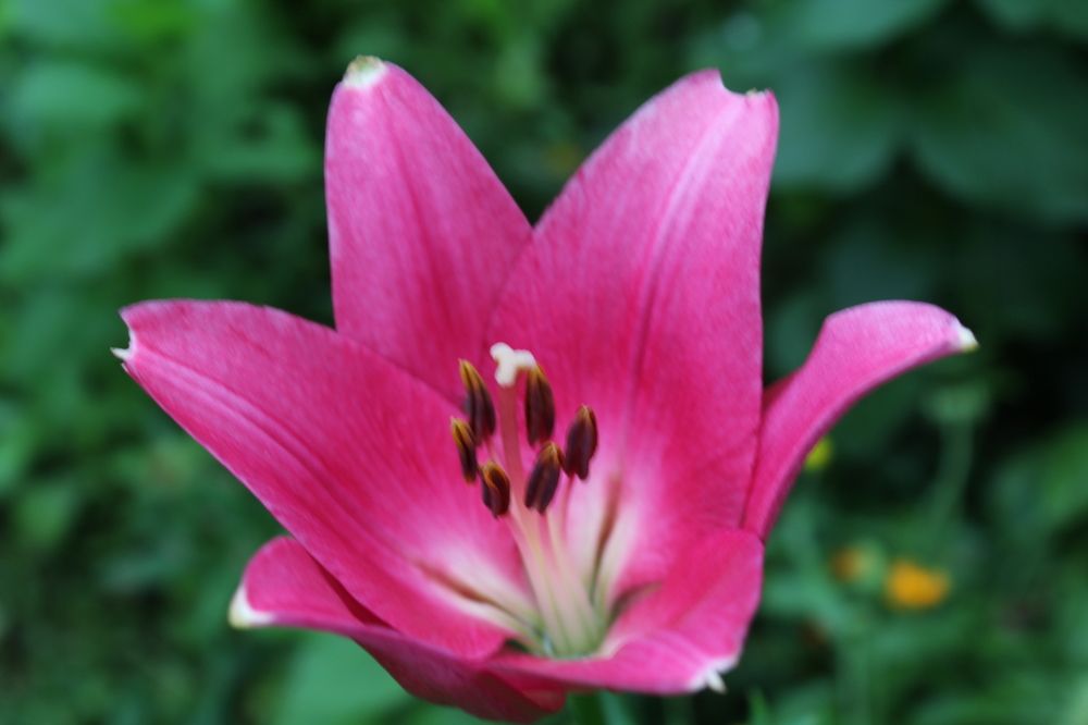 Фотография автора Natalia Khodina