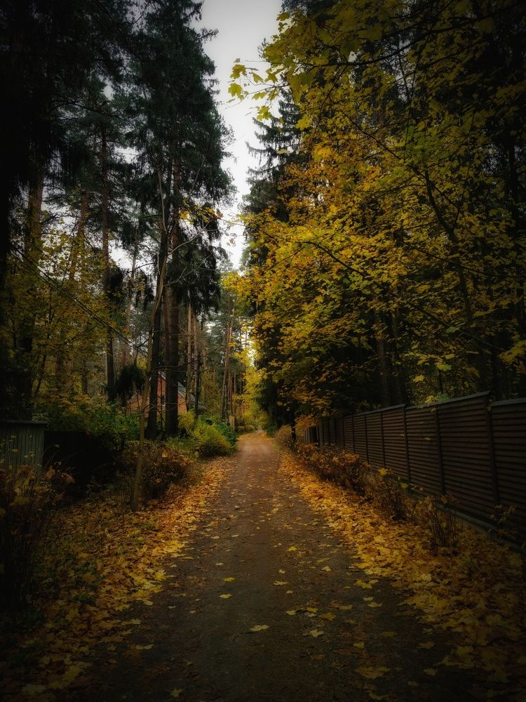 Photograph by Колоскова Мария