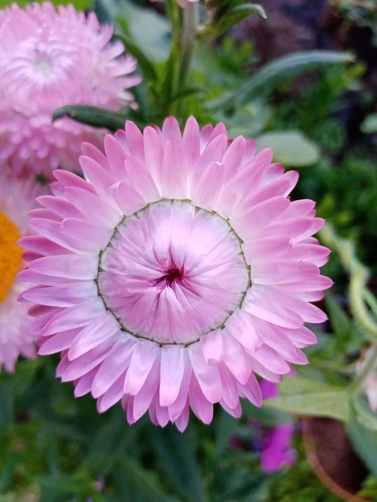 Фотография автора Natalia Khodina