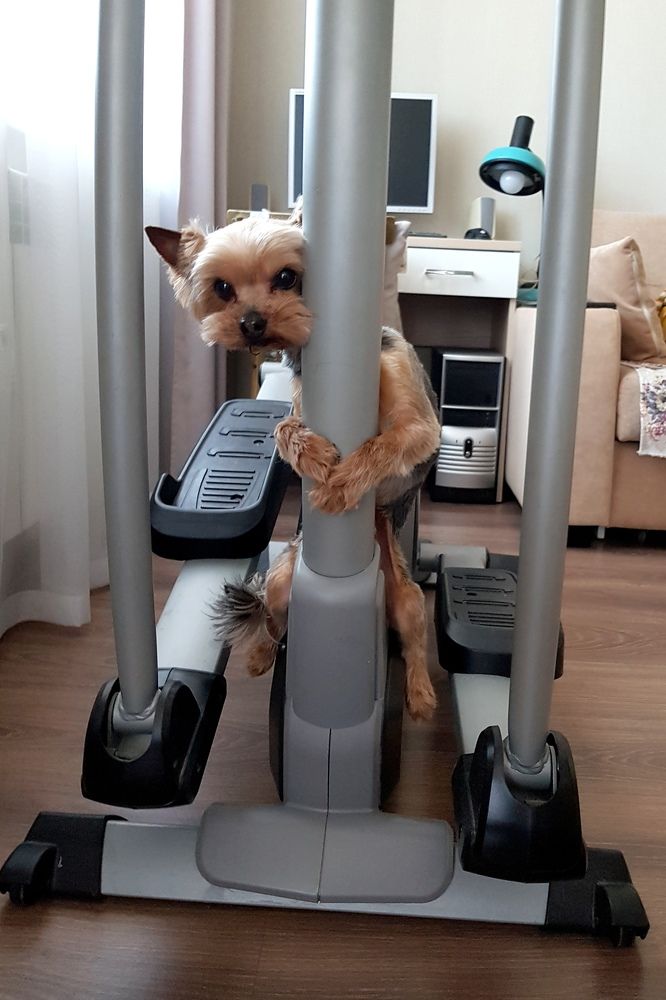 Photograph by Марина Стародуб