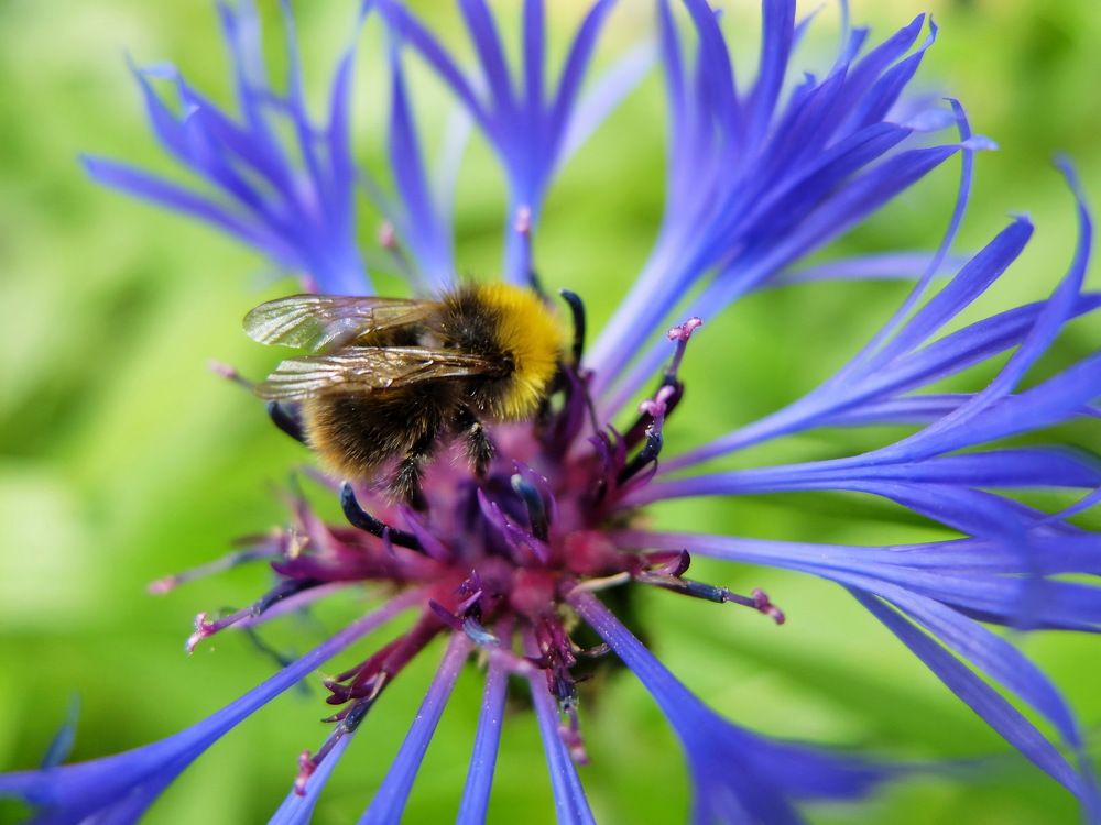 Photograph by Margarita Malikova