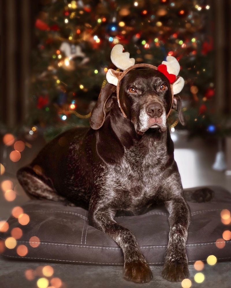 Photograph by Ольга Глазунова