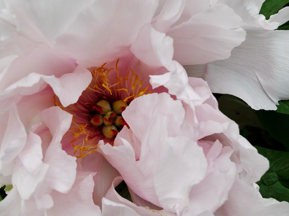 Photograph by Margarita Malikova