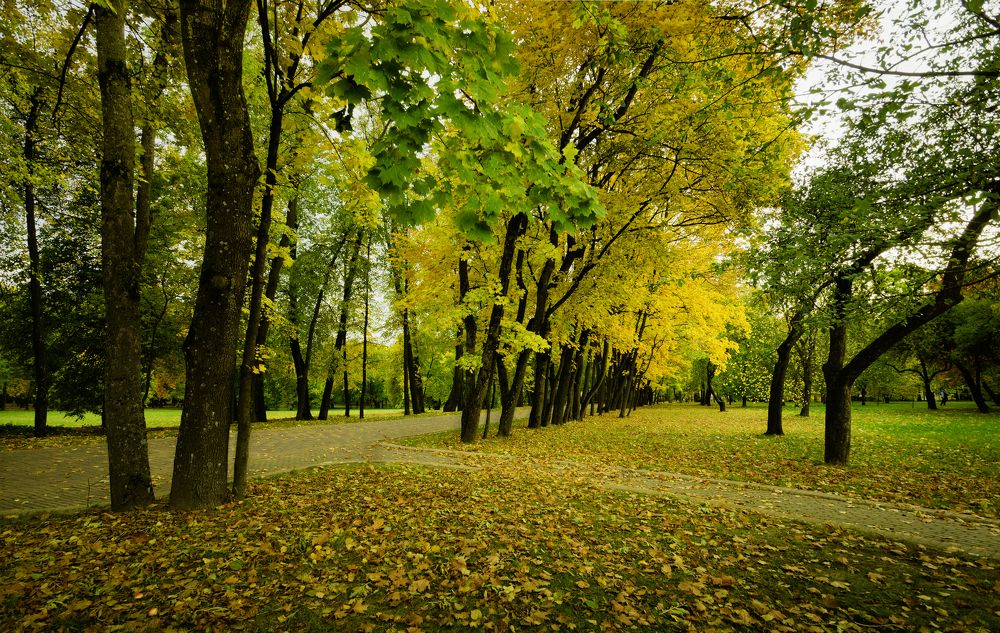 Осень в парке