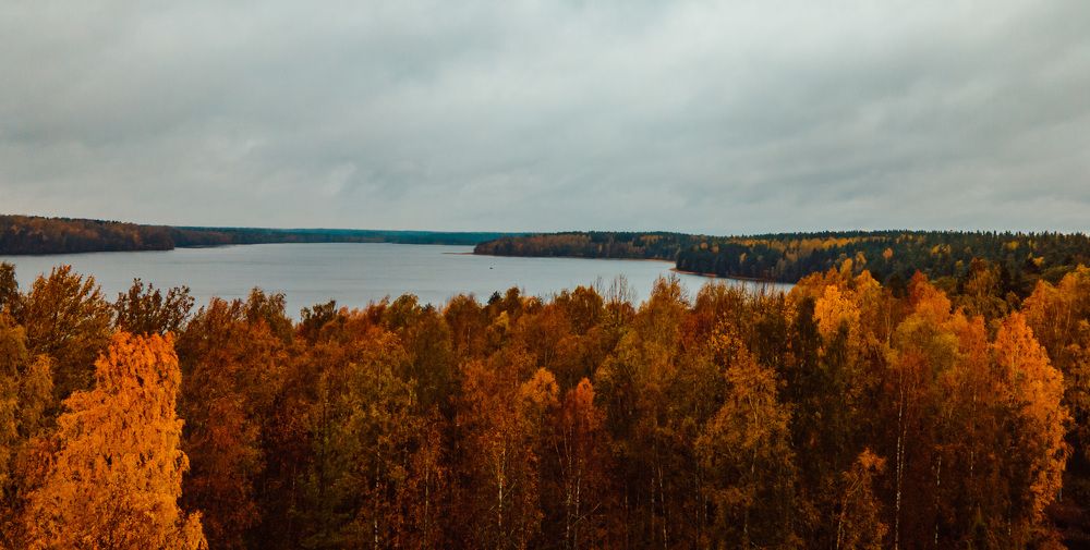 Photograph by Ольга Левакова