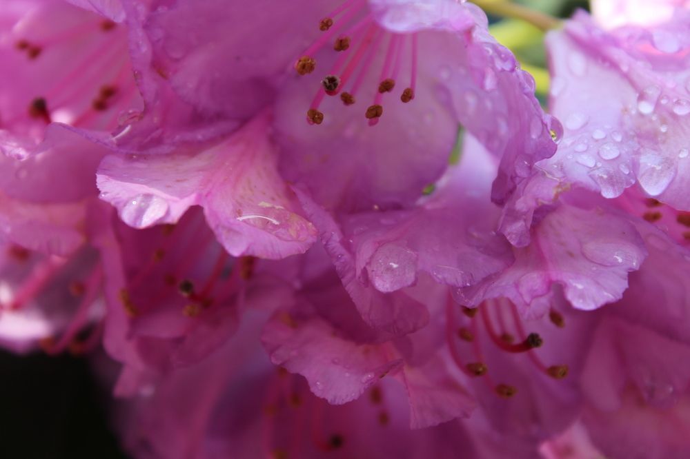 Фотография автора Natalia Khodina