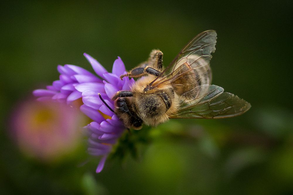 Photograph by Александр Войтко