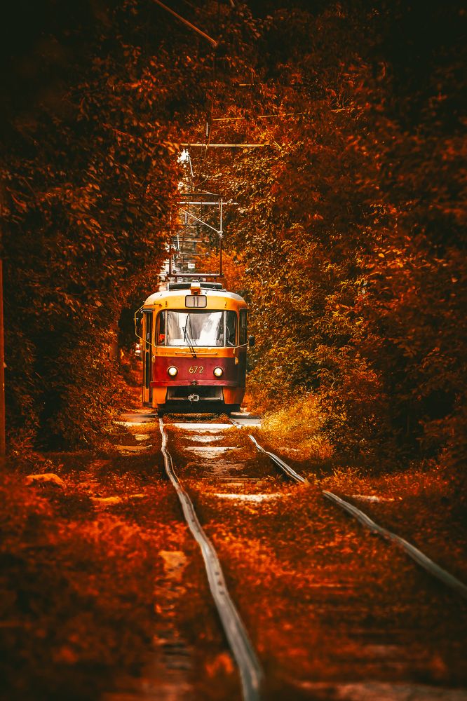 Photograph by Юрий Ломакин