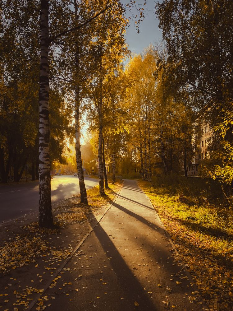 Photograph by Anna Chub