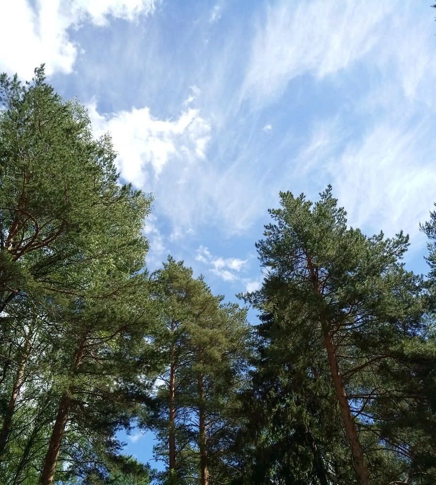 Photo #9715353