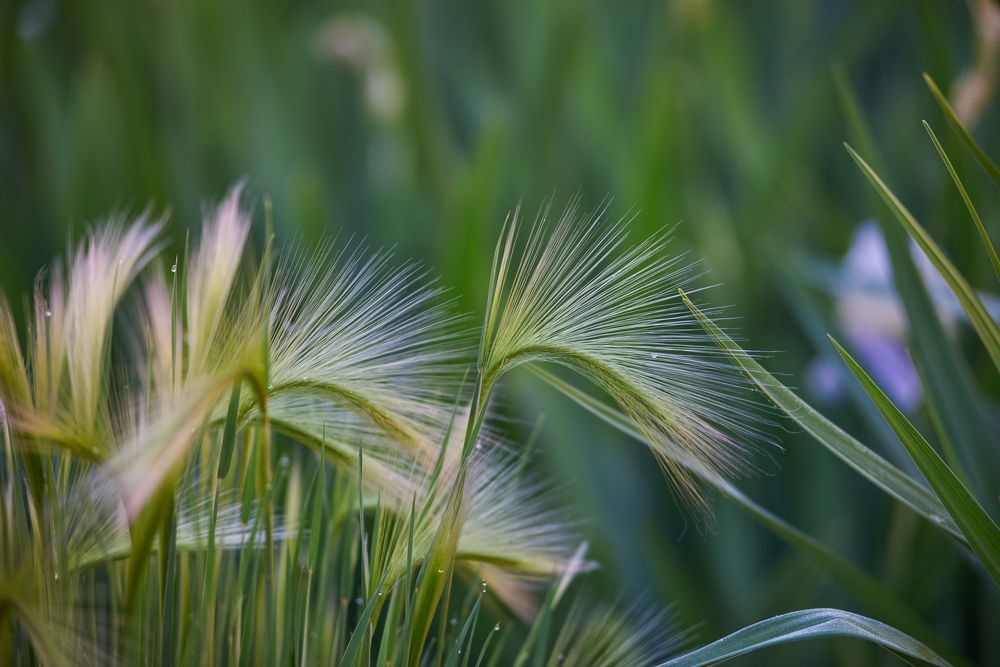 Photograph by Дмитрий Мостовой