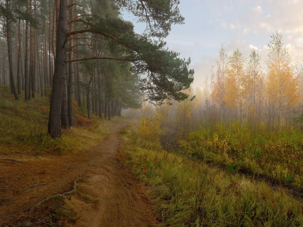 Photograph by Виктор Гурков