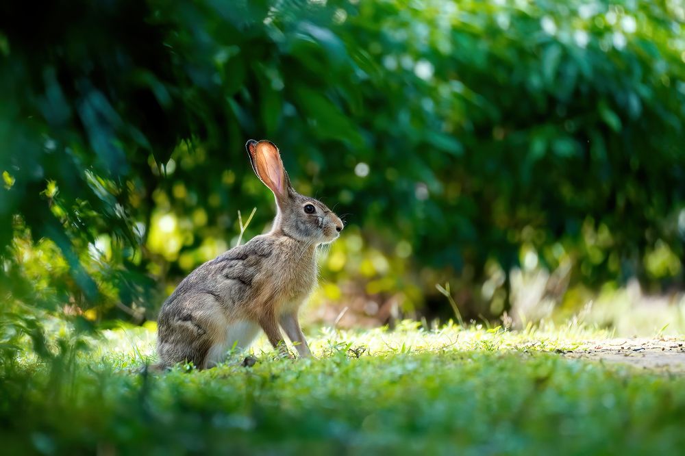 Фотография автора Md shahidul Islam