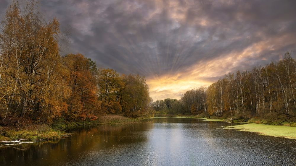 Photograph by Людмила Железнова