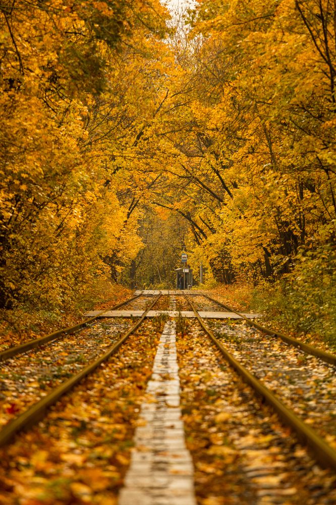 Photograph by Дмитрий Ефимов