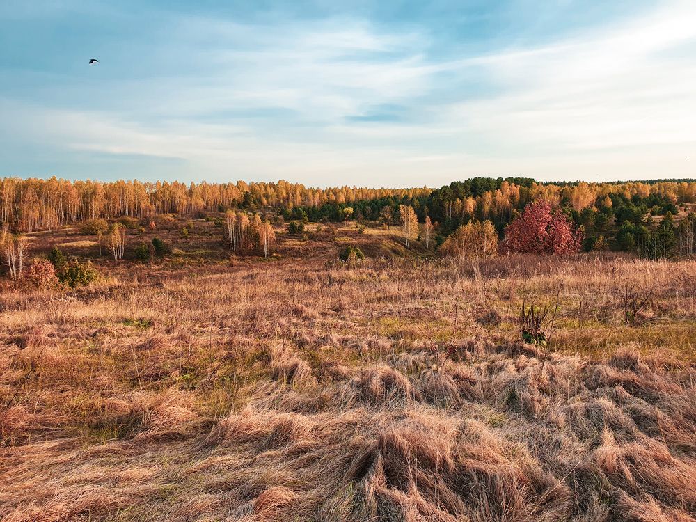 Photograph by Олег Титкин