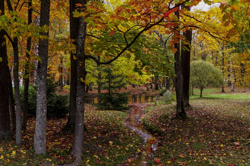 Photograph by Марина Вильдяева