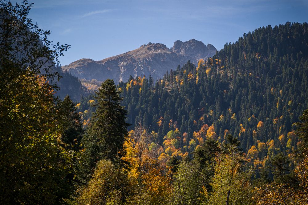 Осень в долине Таулу