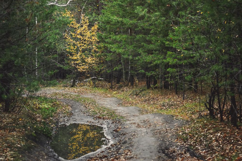 Чернолучье, Октябрь