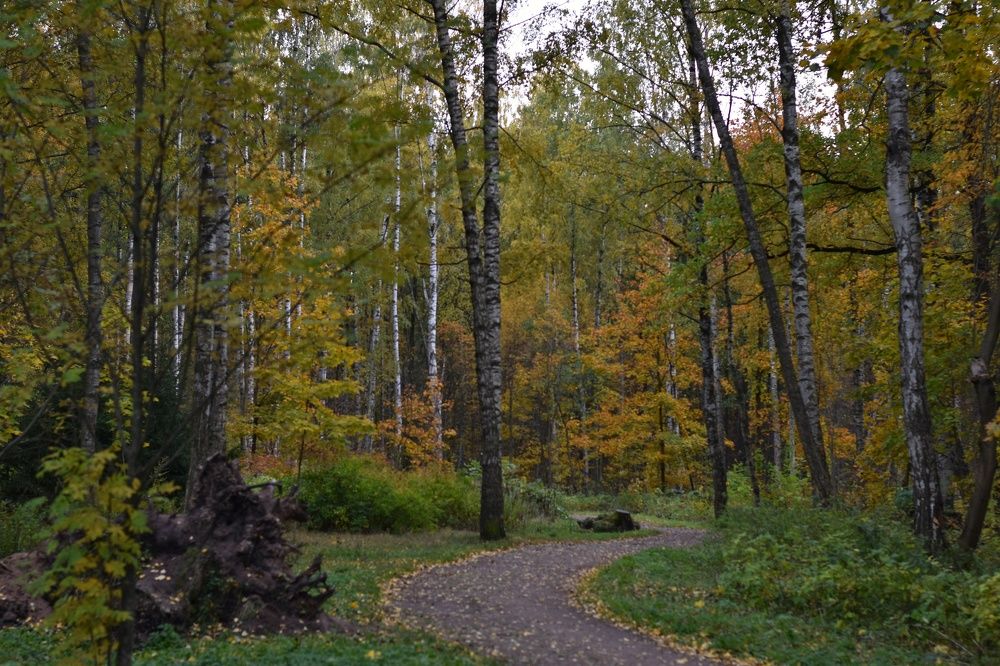 Photograph by Татьяна Юдина