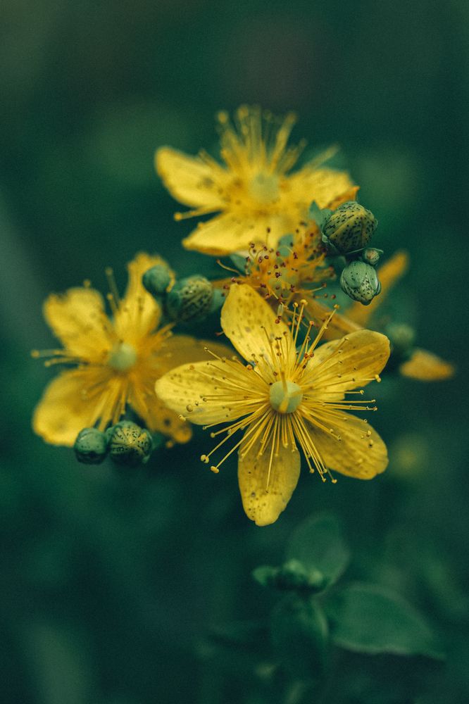 Photograph by Natalia Megelbey