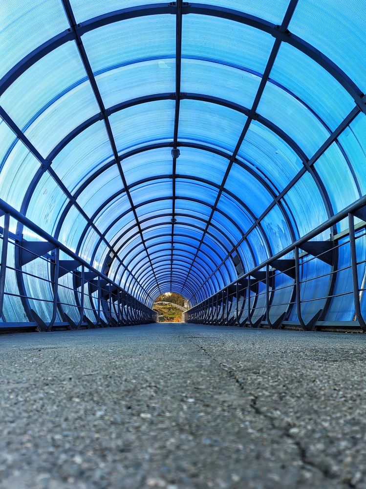 Фотография автора НАТАЛЬЯ СЕВЕР