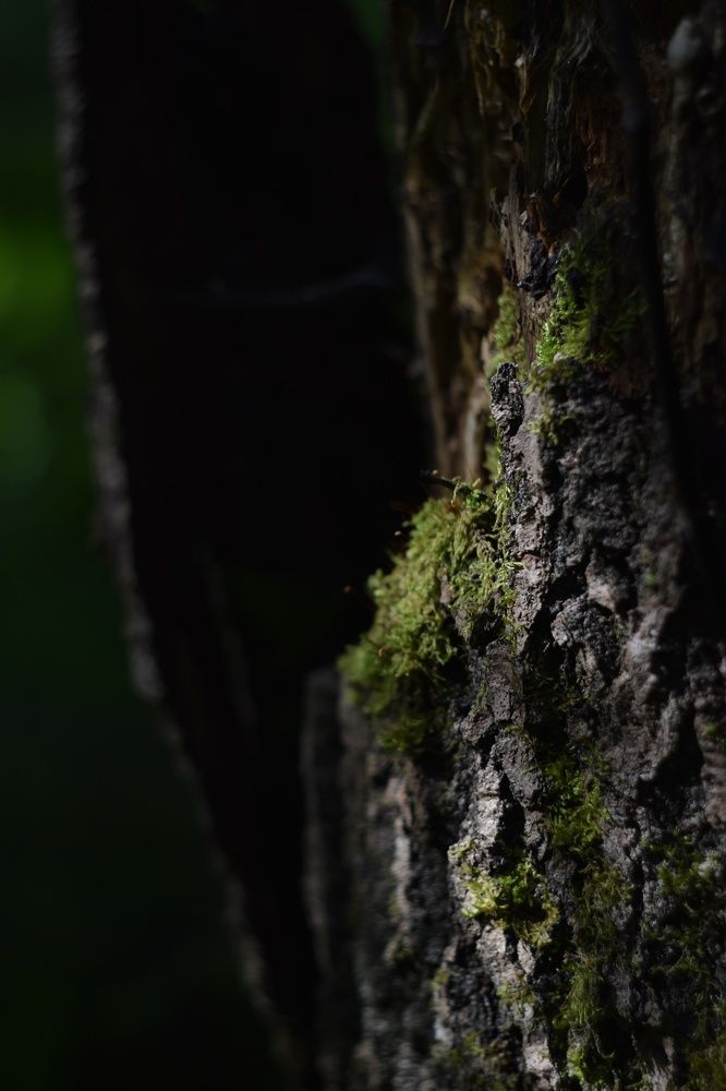 Photograph by Татьяна Юдина