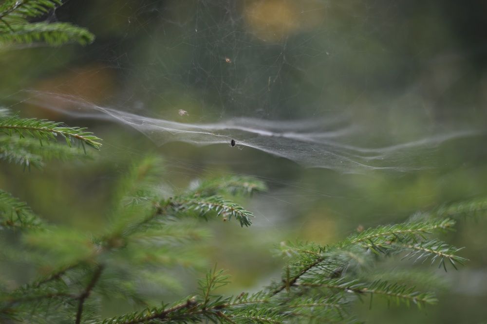 Photograph by Татьяна Юдина