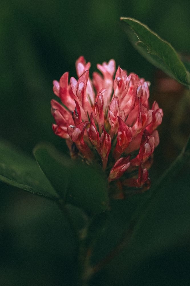 Photograph by Natalia Megelbey