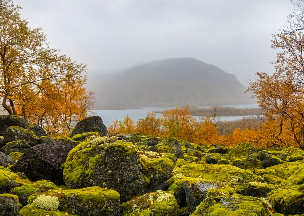 Photograph by Алексей Фрилунд