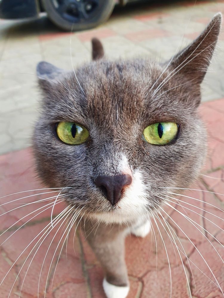 Photograph by Анастасия Трофимовская